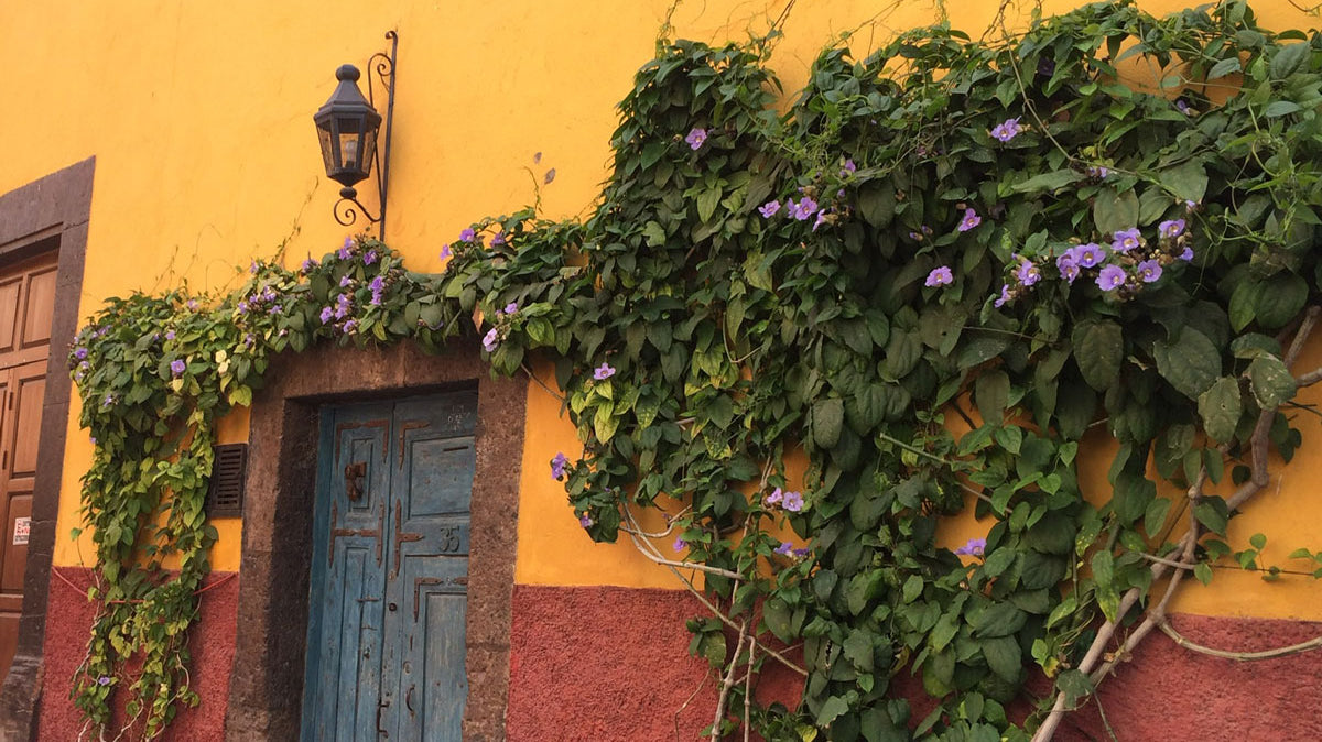 Scoutpack Travels: Door Inspiration