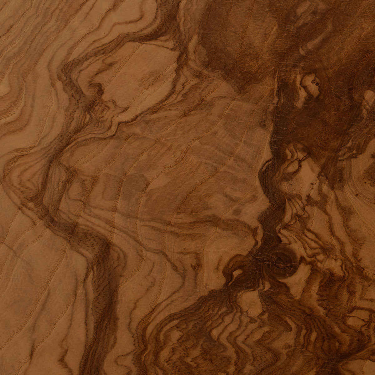 #color_provincial-olive-ash