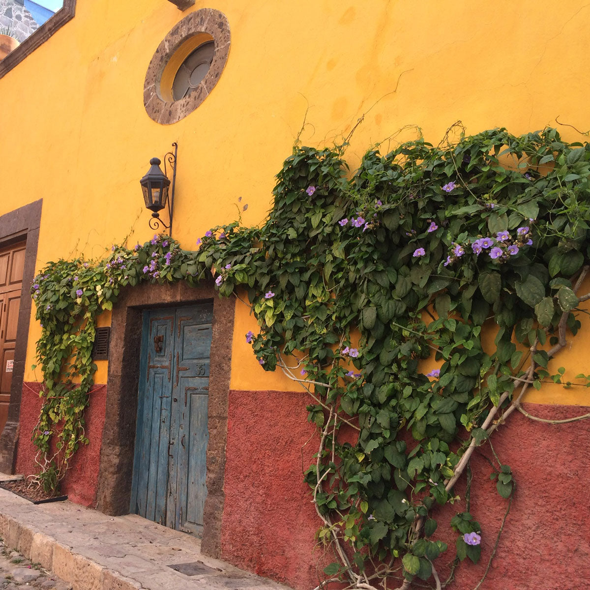 Scoutpack Travels: Door Inspiration