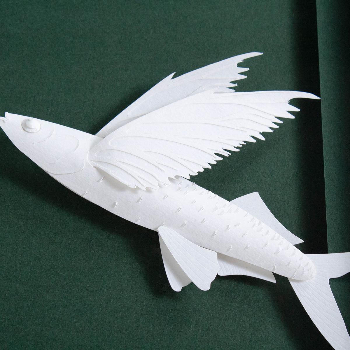 Brant Point | Modern Fish Artwork – Scout Design Studio