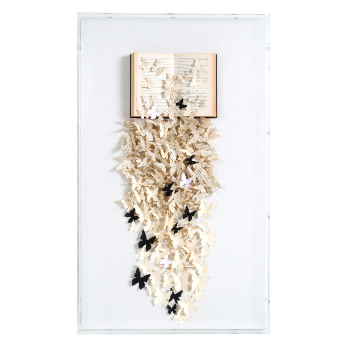 The Butterfly Effect | Wall Decor