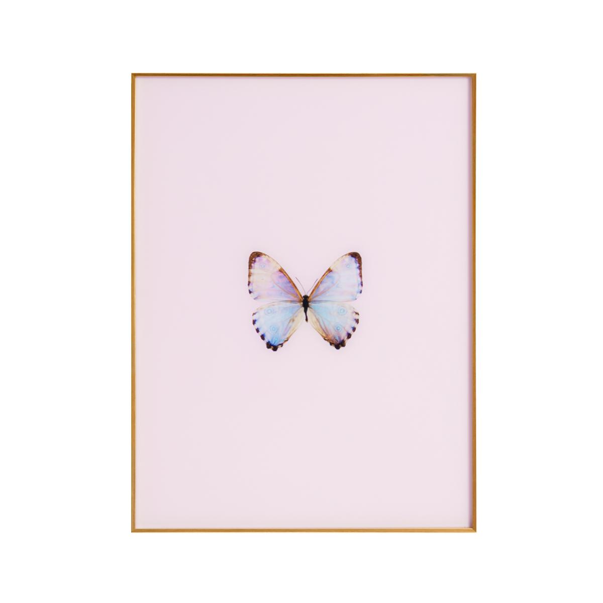 Framed Butterfly Print in Pink Marshmallow