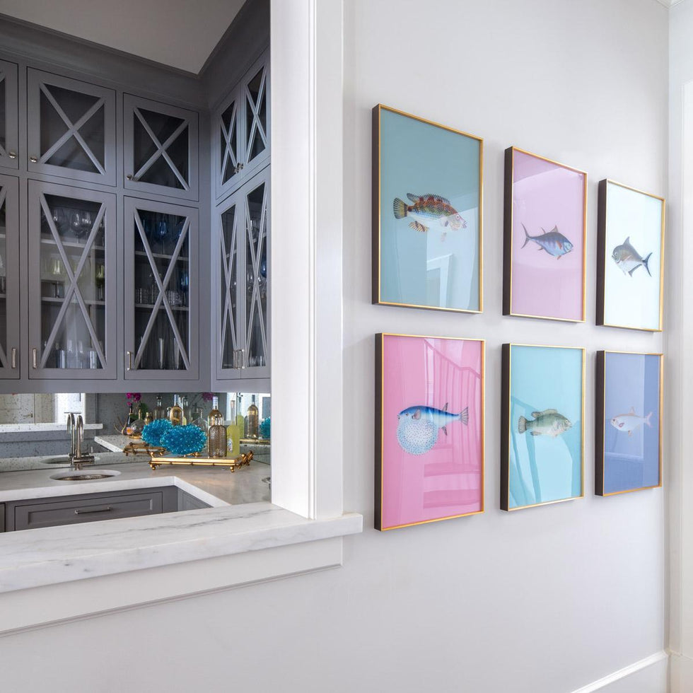 Framed Fish Print in Sea Spray | Printed Wall Art – Scout Design Studio