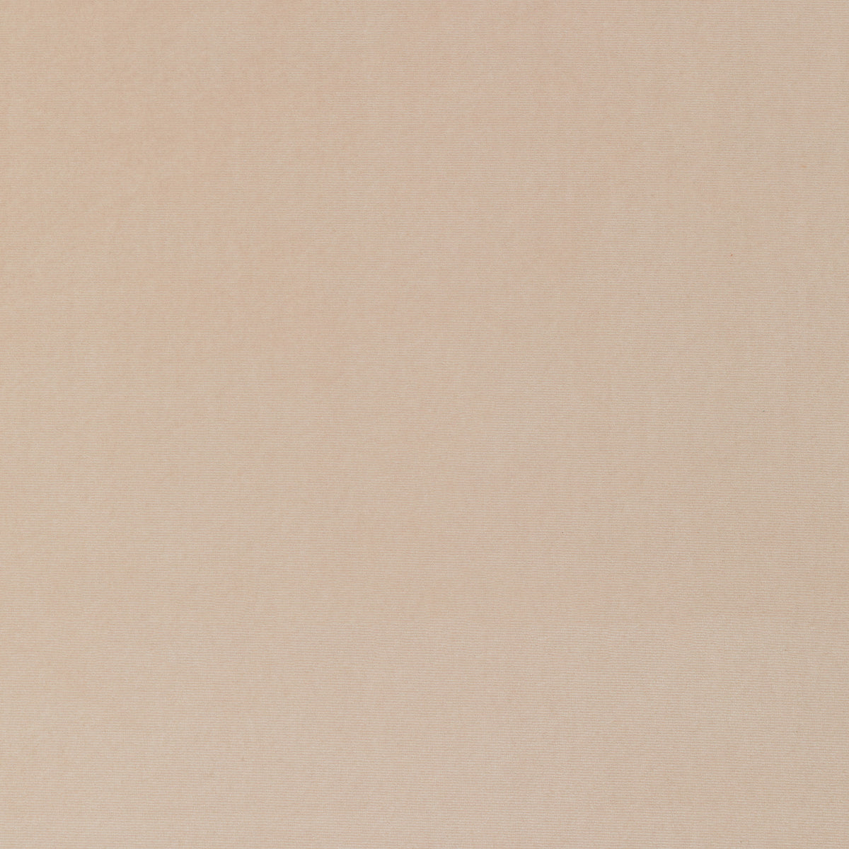 Monique Baby Pink Velvet Fabric – Scout Design Studio