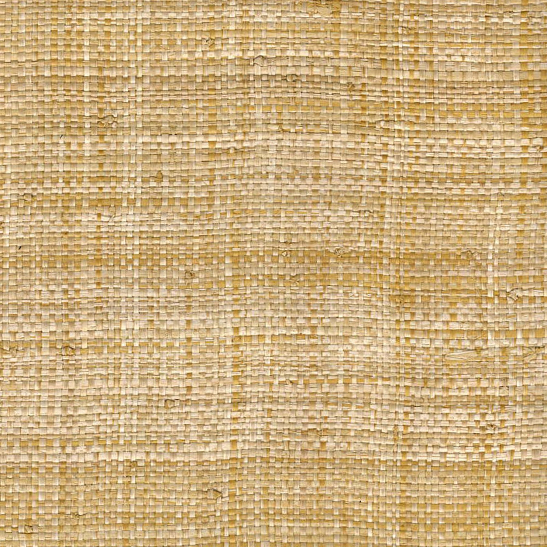 Walls Republic Reed Yellow Grasscloth Wallpaper R1973 | RONA