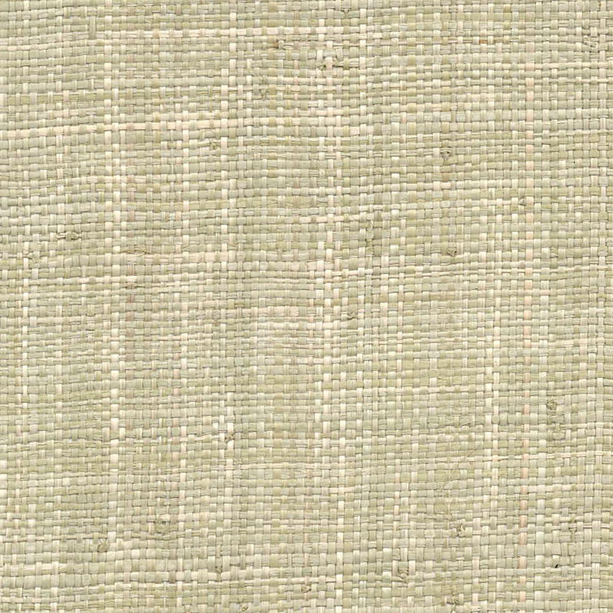 Yves Raffia Grasscloth Wallpaper Green Raffia Wallpaper Scout